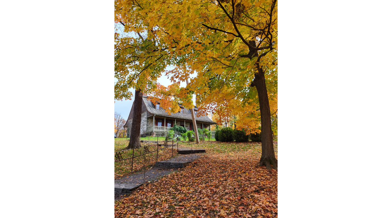 Mount Gulian in Beacon covered in fall leaves